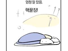 아크토피아 후기만화