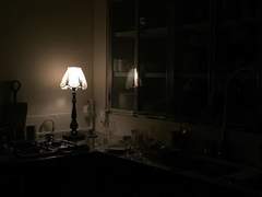 해바라기의 꽃말 1