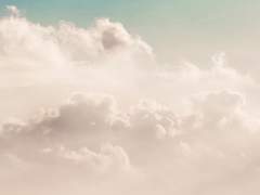 햇살이 떨어지는 자리.