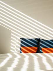 호크이카 ssᴜʟ