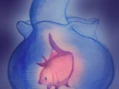 어항 속 금붕어