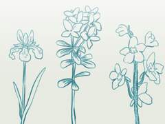 세 사람의 소네트 3부작 후일담