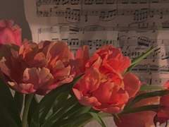 시우 위치대화 모음