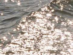 떡장수꾹 X 호랑이찜 (1)