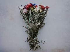 [솔레하르] 왈츠의 선율이 마침내 끊길 때 까지