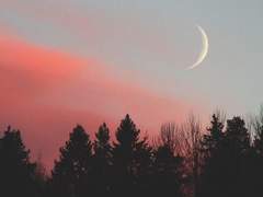 데미안 과거 날조