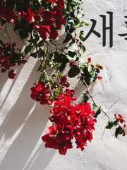 [오이스가] 새롭게, 다시