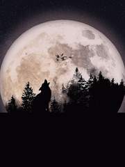 늑대의 의무 (完)