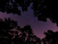 [나루토] 그들을 향한 회의감 / 카카시