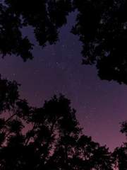 뿌리와 그렇지 않은 자.