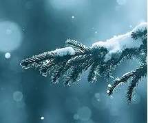 [완결] Green 추천 W.바인