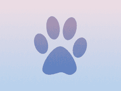 프로필 : 세타레 에스칸다리