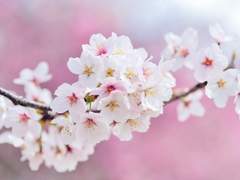 당신에게 보내는 서신