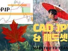 Forex AUDUSD 분석. FX마진거래. FX외환거래