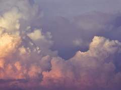 어쩌면 모두 어항 속에 있는 우리는 04