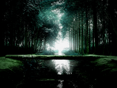 원수는 외나무 다리에서 만난다.