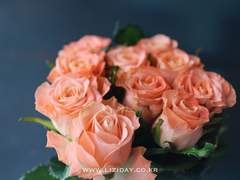 나의 작은 물망초 (2)