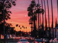 [연밤] 캘리포니아 선셋 中