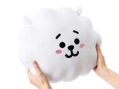 [뷔진] 폴리스, 플리스 18