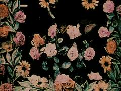 [ 권 시 운 / 19 ]