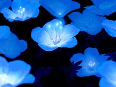 [ 나 종 인 / 38 ]