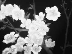 [ 홍 려 운 / 20 ]