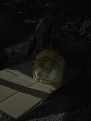 단편 소설 모음