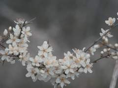 [ 정 예 준 / 33 ]