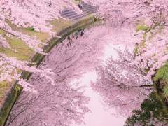 사랑이라는 이름의 기대