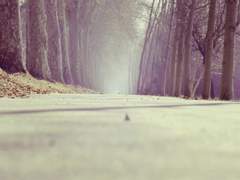 [승수정인] 주저하는 연인들을 위해