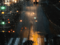 되고 싶었던 것