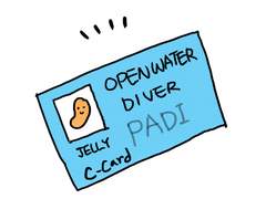 비용은 얼마나 들까?