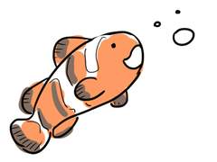 위험하진 않을까?