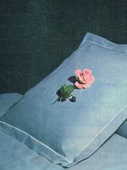 Less Poetic More Specific