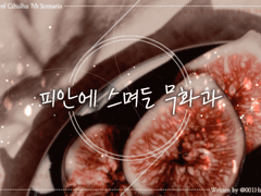 피안에 스며든 무화과