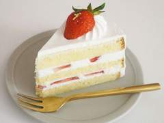 [뷔진] 폴리스, 플리스 19