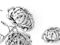 당신은 모르는 哀歌