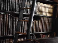 [칼라애런] 추억의 길을 걷는 자