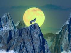 하울링(Howling):06