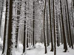 [오이스가]볼 수 없는 눈보라가 불 때 너는 내가 처음 봤던 눈동자야