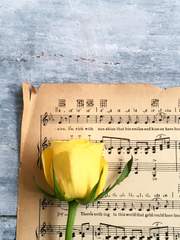 이츠시키 히카루