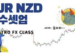 Forex EURNZD 분석. FX마진거래. FX외환거래
