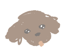 갈푸를 부탁해 !