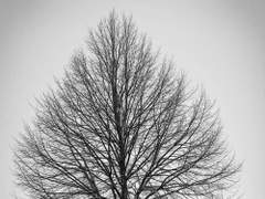 이제 그만 나를 놓아주세요