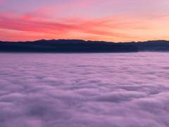 태원유진- 애들아 고맙다