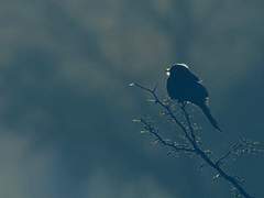 죽음 이후의 잔해들