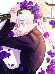 신시아 크레셴도