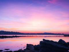 비밀프로필/강현지