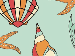 [단편글] 조개 껍데기