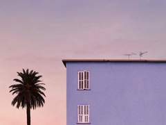 이대리 관찰일지